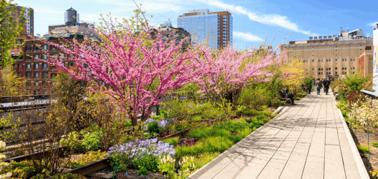 New York High Line