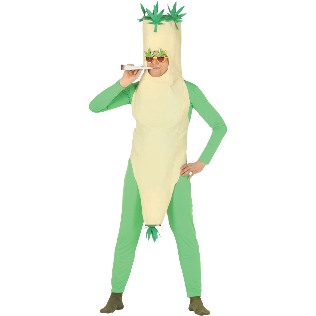 Joint halloween costume