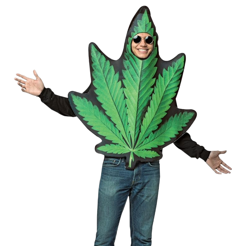 Pot leaf halloween costume