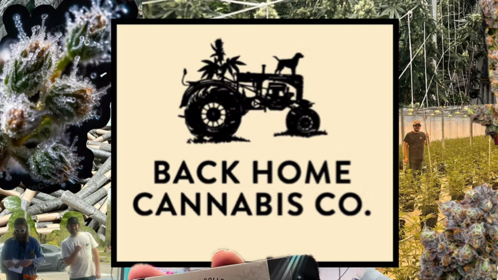 Back Home Pop Up (Fri, 5/15, 4:00-7:00)