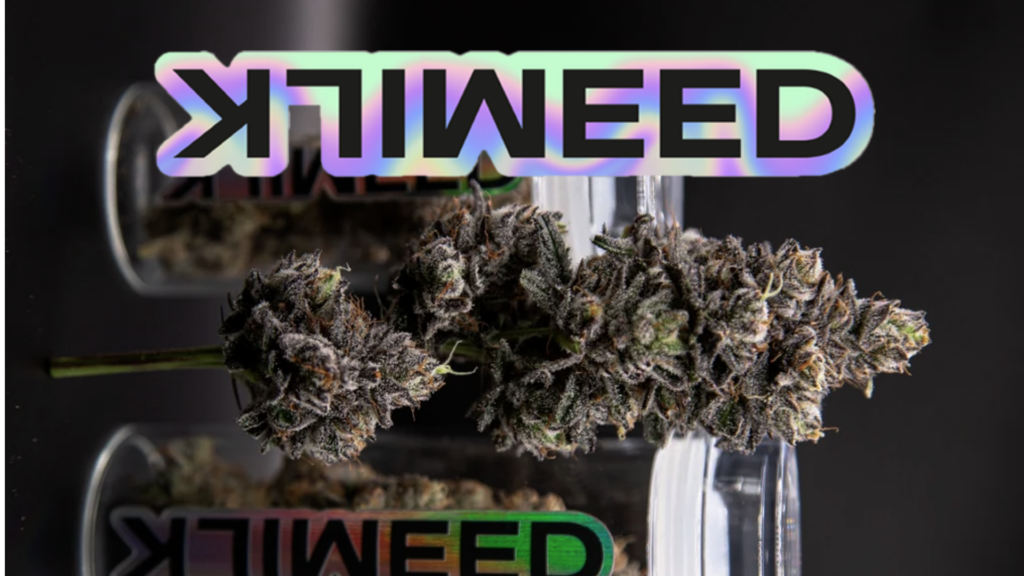 MILKWEED Pop Up (Tues., 7/7, 4:00-7:00 PM)