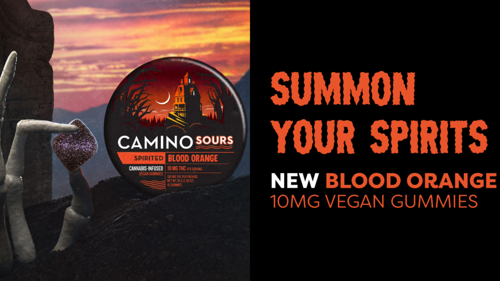 Camino/ Lost Farm / KIVA Pop Up (Sat., 10/31, 4:00-6:00 PM)